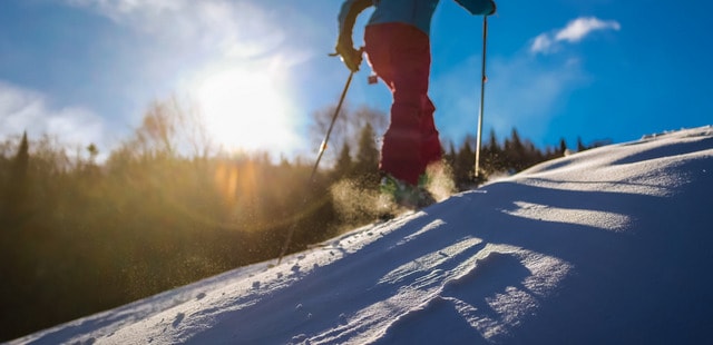 Snowshoeing